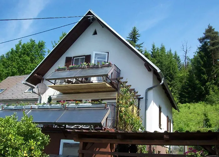 Riedl Gaestewohnung